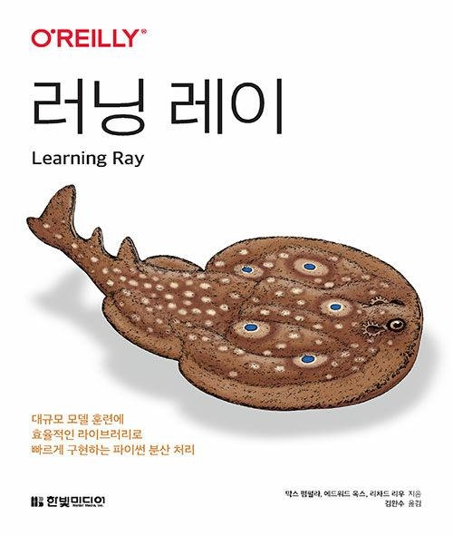 러닝 레이