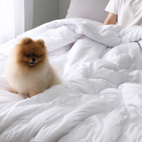 코튼렛 알러지케어 차렵이불세트 사계절 먼지없는 호텔침구세트 이불 베개커버 SS Q