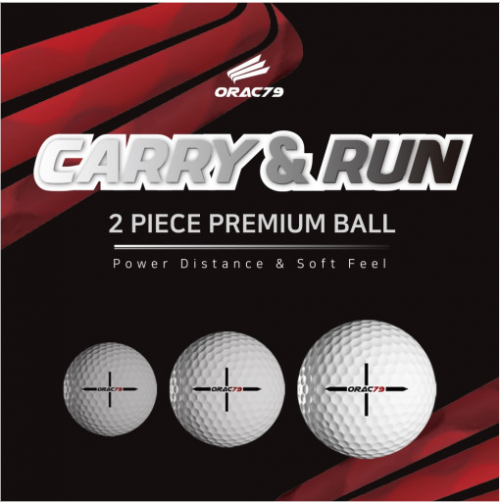 [1879골프][10더즌 구매] 캐리 앤 런(CARRY & RUN) 2피스 프리미엄 골프볼 골프공
