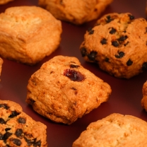 베이커피 네모스콘 냉동생지 4종 100g 12개입