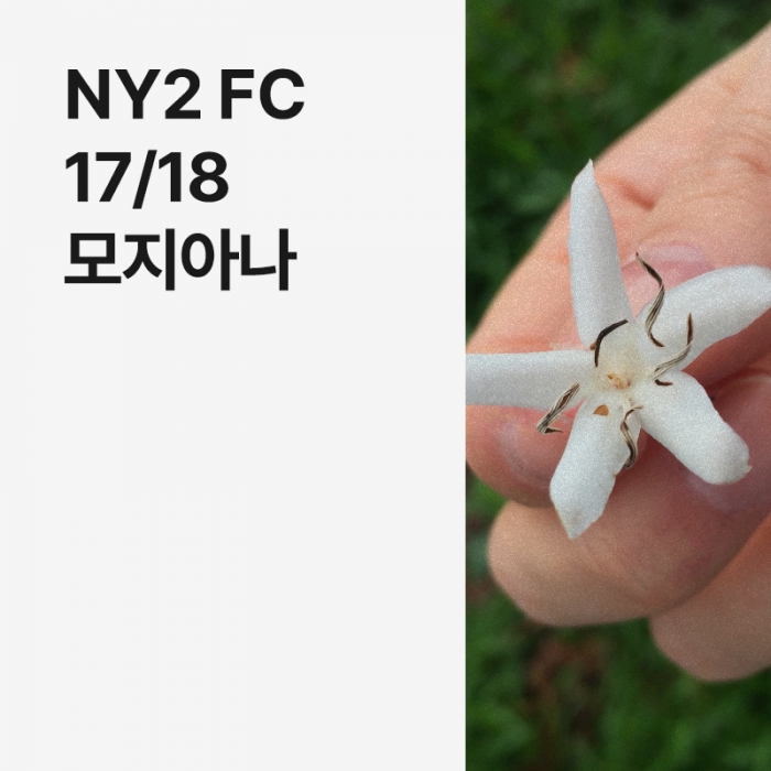 브라질 NY2 FC 17/18 모지아나 · 8월세일