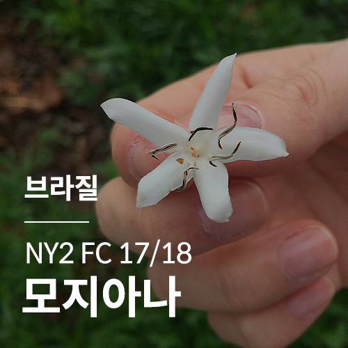 브라질 NY2 FC 17/18 모지아나