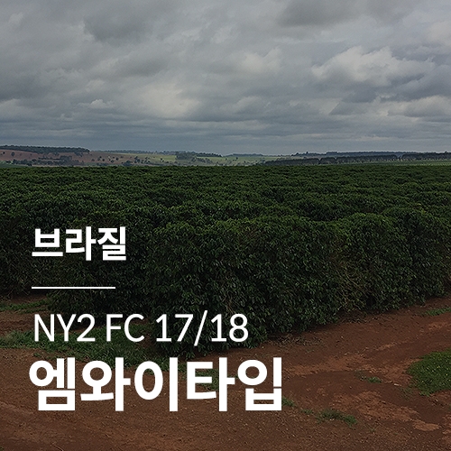 [브라질] NY2 FC 17/18 엠와이타입
