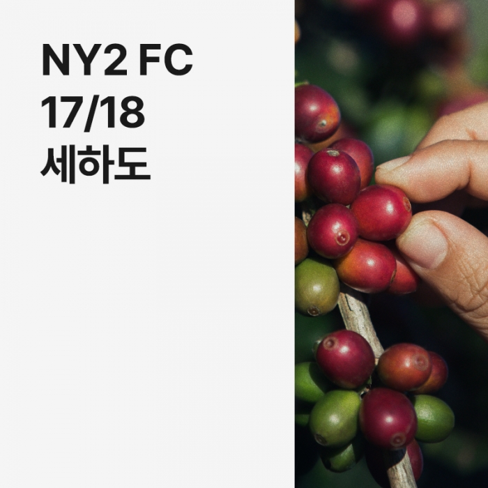 브라질 NY2 FC 17/18 세하도 · 8월세일