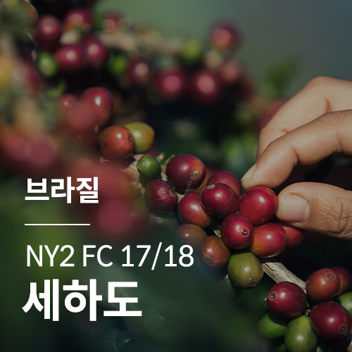 브라질 NY2 FC 17/18 세하도 &middot; 새해감사세일