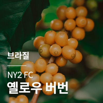 [브라질] NY2 FC 옐로우 버번