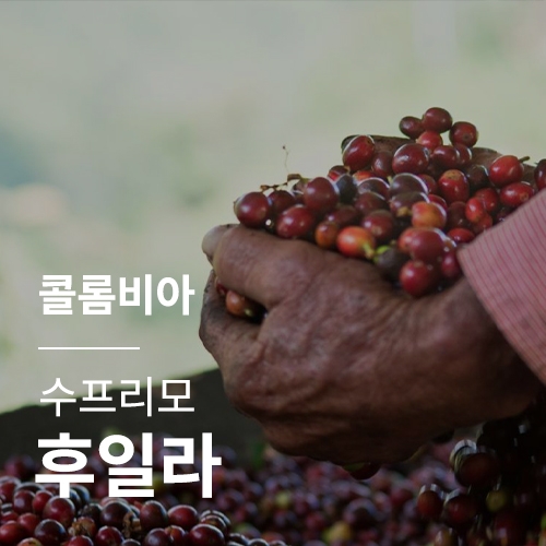 콜롬비아 수프리모 후일라 &middot; 2월세일