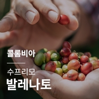 [콜롬비아] 수프리모 발레나토☆아울렛☆