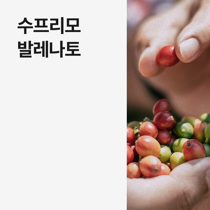 콜롬비아 수프리모 발레나토 &middot; 아울렛