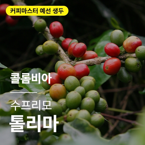 콜롬비아 수프리모 톨리마
