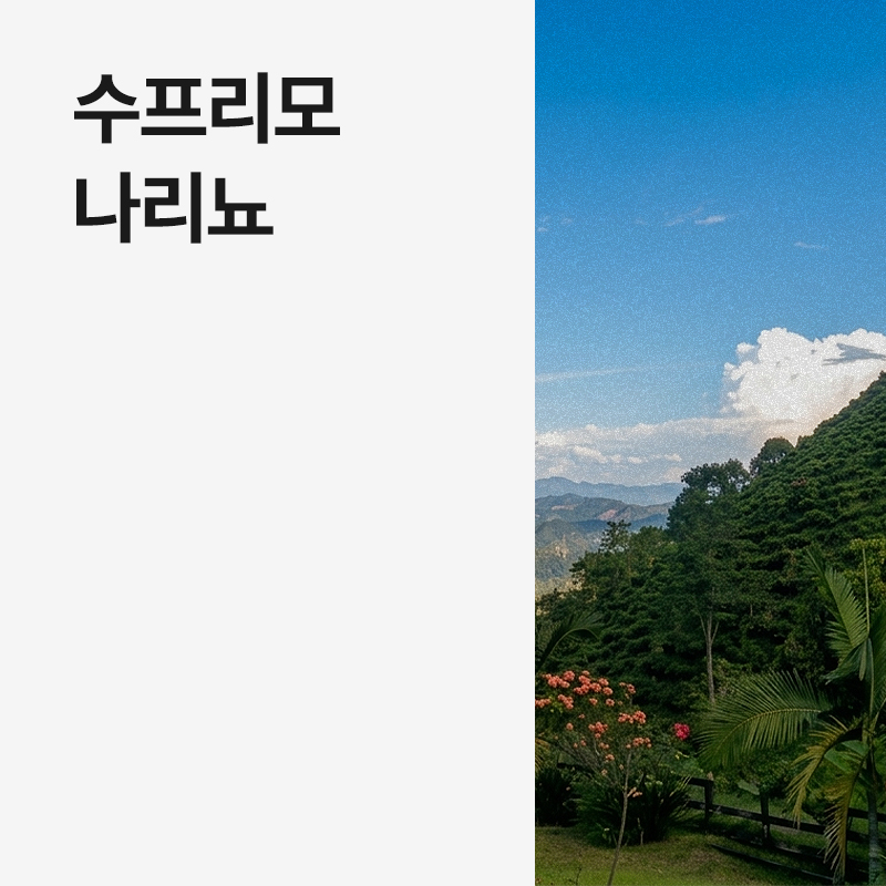콜롬비아 수프리모 나리뇨