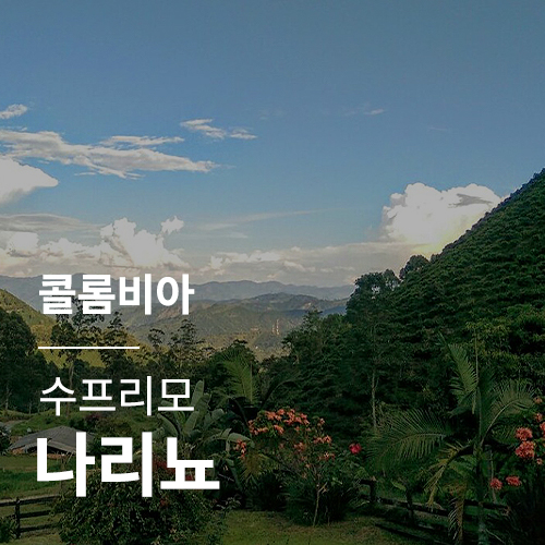 [콜롬비아] 수프리모 나리뇨