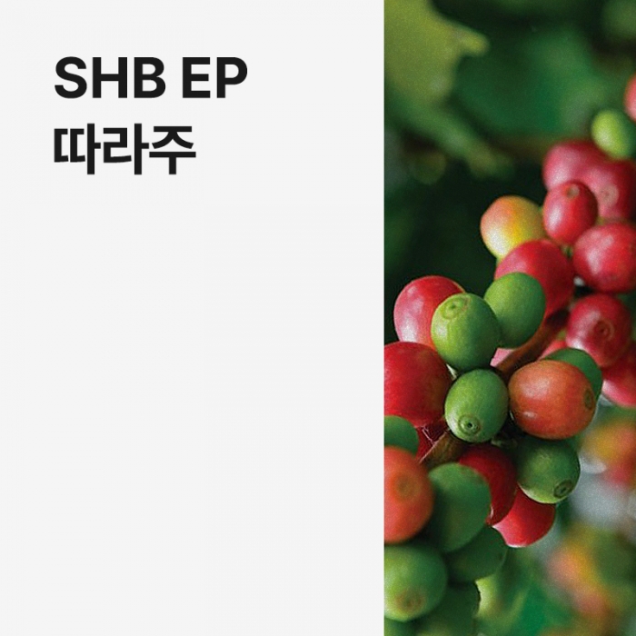 코스타리카 SHB EP 따라주 &middot; 8월세일