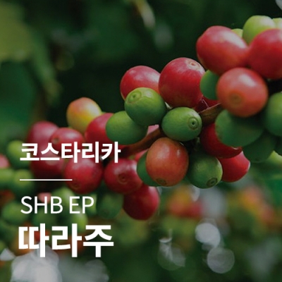 [코스타리카] SHB EP 따라주🌊썸머세일
