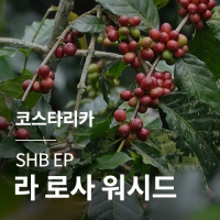 코스타리카 SHB EP 라 로사 워시드