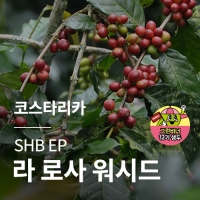 [코스타리카] SHB EP 라 로사 워시드 · 어텀세일