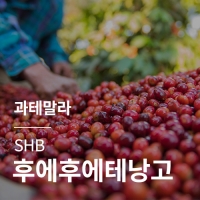 과테말라 SHB 후에후에테낭고