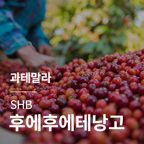 [과테말라] SHB 후에후에테낭고★특별세일★