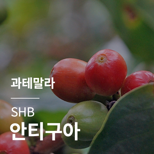 과테말라 SHB 안티구아 · 5월세일