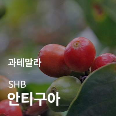 [과테말라] SHB 안티구아★특별세일★