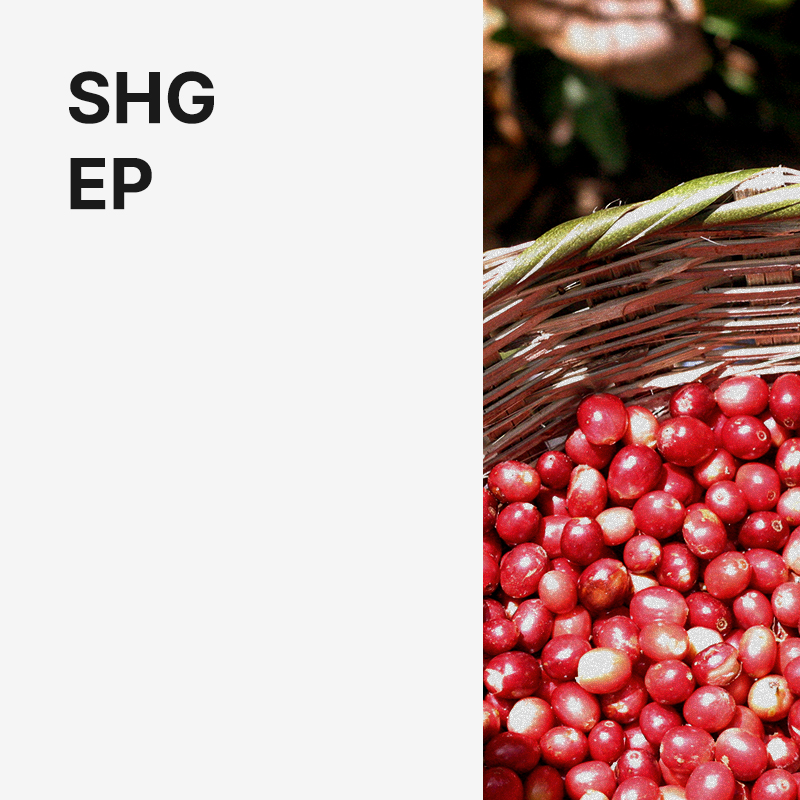 니카라과 SHG EP