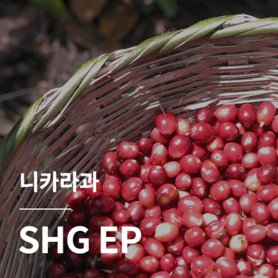 [니카라과] SHG EP