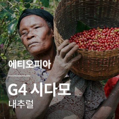 [에티오피아] G4 시다모 내추럴★BIG SALE★