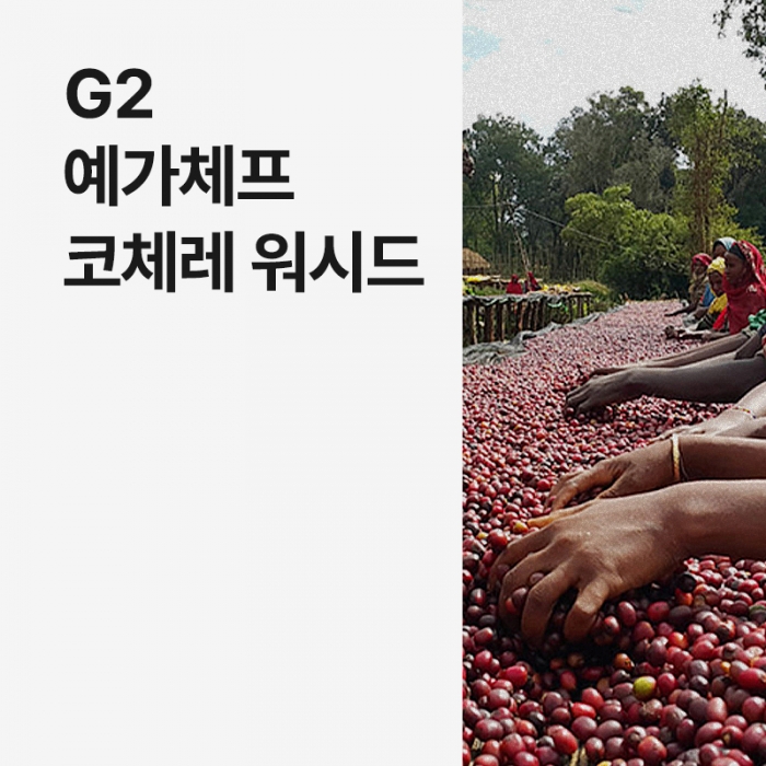 에티오피아 G2 예가체프 코체레 워시드