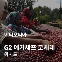 에티오피아 G2 예가체프 코체레 워시드 &middot; 3월세일