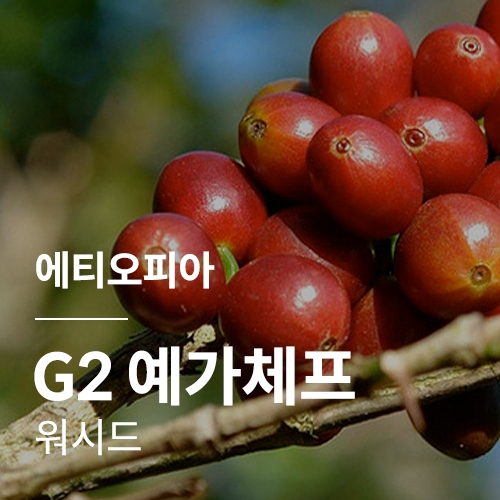 에티오피아 G2 예가체프 워시드 &middot; 2월세일