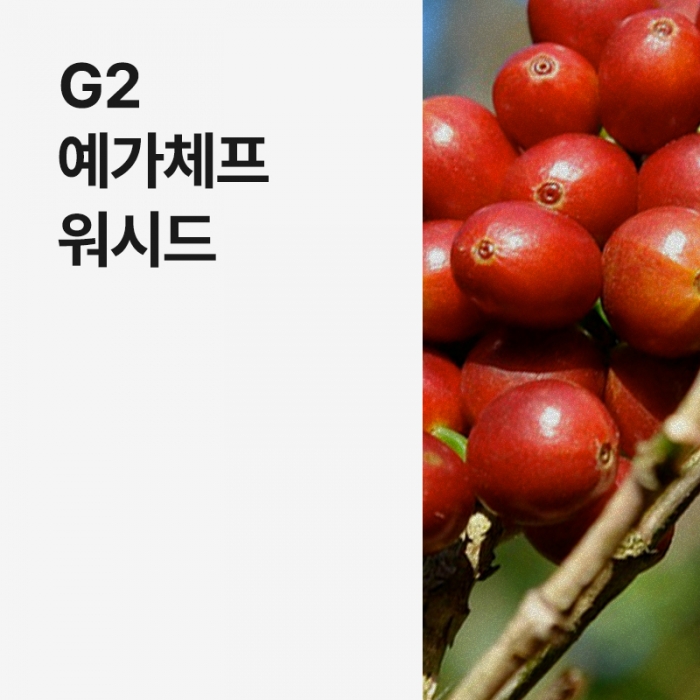에티오피아 G2 예가체프 워시드