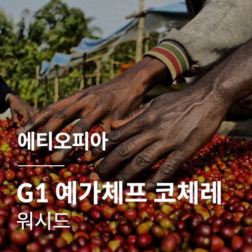 에티오피아 G1 예가체프 코체레 워시드 · 6월세일