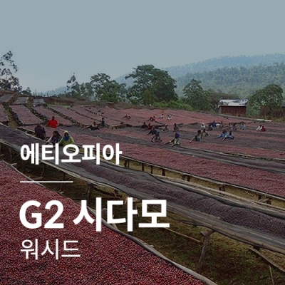 [에티오피아] G2 시다모 워시드