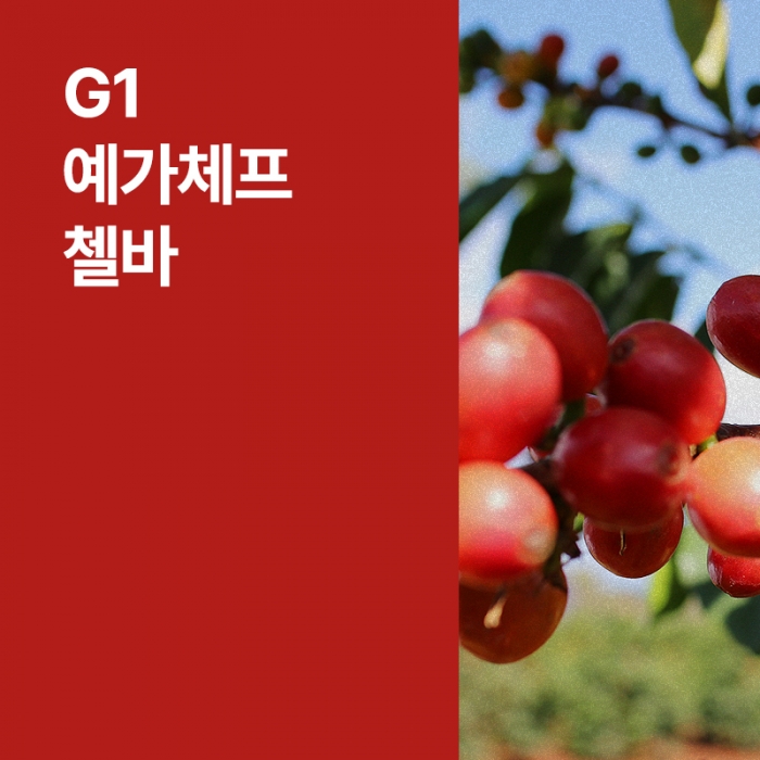 에티오피아 G1 예가체프 첼바 내추럴