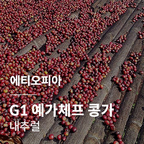 [에티오피아] G1 예가체프 콩가 내추럴 · 어텀세일