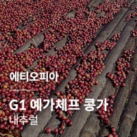 [에티오피아] G1 예가체프 콩가 내추럴 · 어텀세일