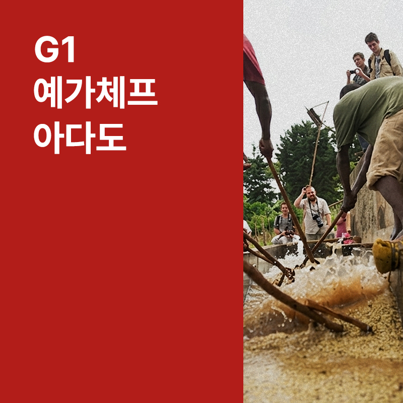 에티오피아 G1 예가체프 아다도 워시드