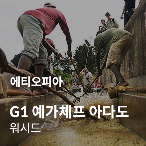 에티오피아 G1 예가체프 아다도 워시드 · 5월세일