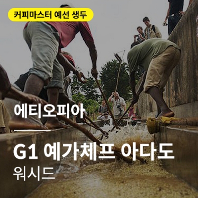 에티오피아 G1 예가체프 아다도 워시드 &middot; 예선생두