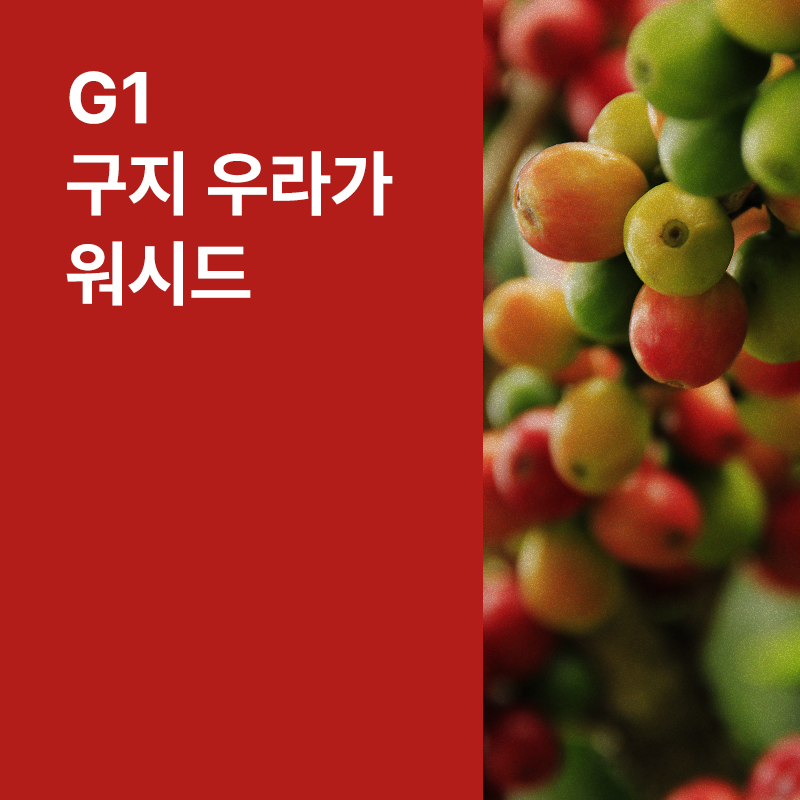 에티오피아 G1 구지 우라가 워시드