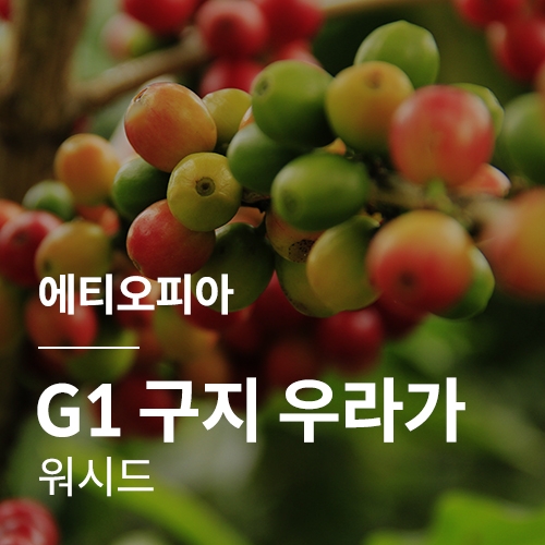 에티오피아 G1 구지 우라가 워시드 &middot; 2월세일