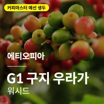 에티오피아 G1 구지 우라가 워시드 &middot; 예선생두