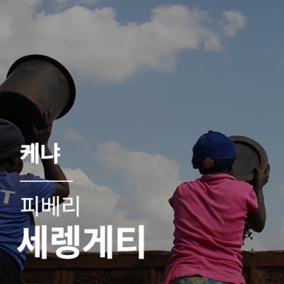 케냐 피베리 세렝게티