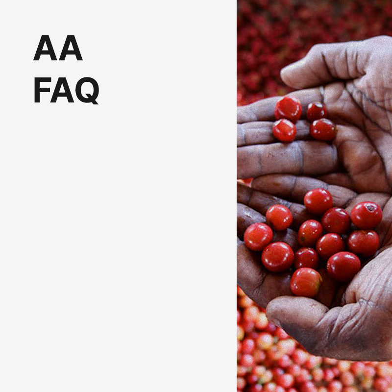 케냐 AA FAQ · 8월세일