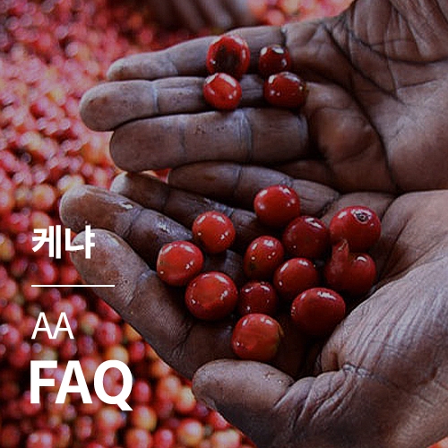 케냐 AA FAQ · 4월세일
