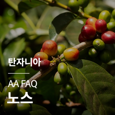 [탄자니아] AA FAQ 노스