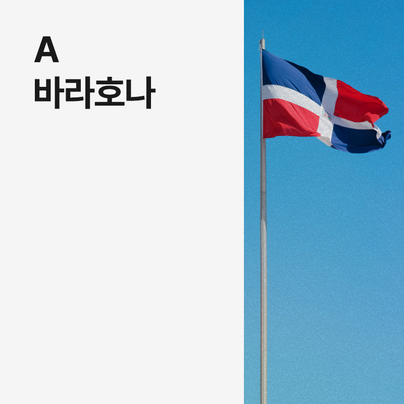 도미니카 A 바라호나 · 아울렛