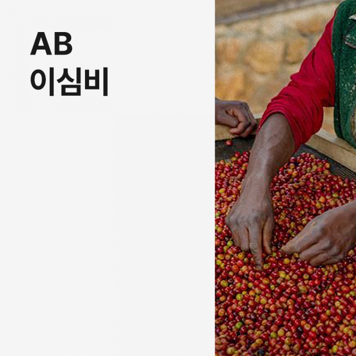 르완다 AB 이심비 풀리 워시드 · 아울렛