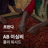 르완다 AB 이심비 풀리 워시드 &middot; 아울렛