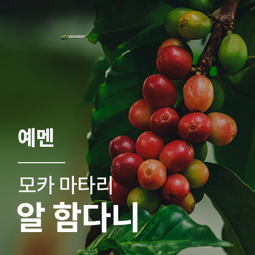 예멘 모카 마타리 알 함다니